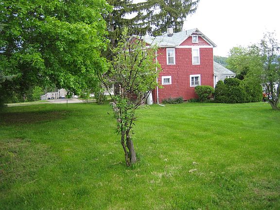 From the far end of the yard