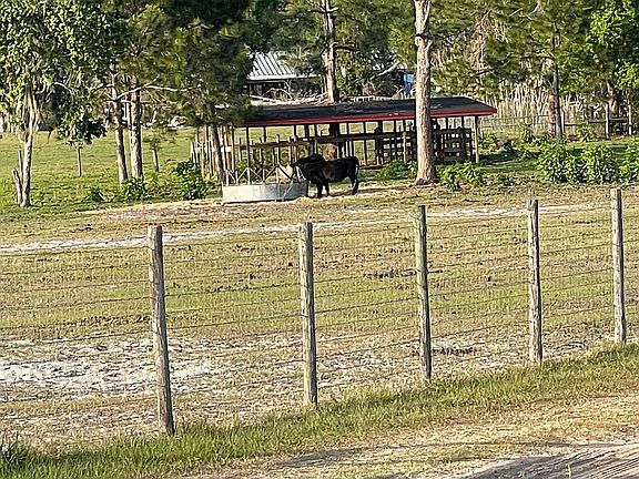 4th image of 3212 Blue Isle Ln