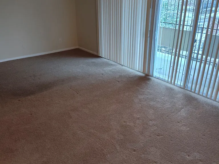 Windsor House Apartments — Photo 30