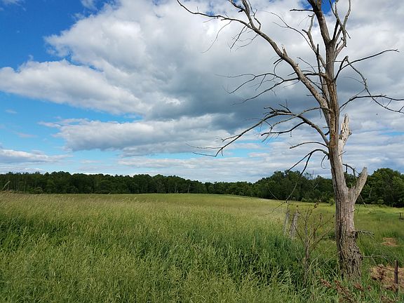 3rd image of Two Rivers Rd