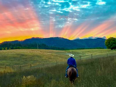 60 Coyote Run Ln, Trout Creek, MT, 59874