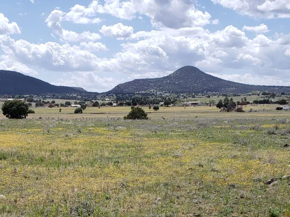 227 W Baker Ranch Rd, Young, AZ 85554