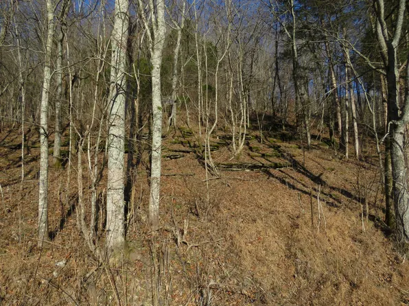 91 Carver Hollow Rd, Pleasant Shade, TN 37145