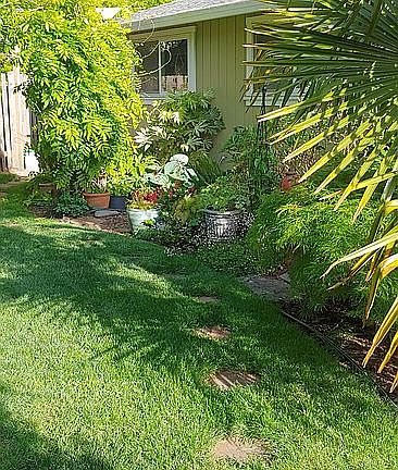 2nd image of 1266 NE Shannon Ct