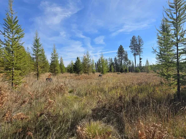 0 Timberline Hts Parcel D, Weippe, ID 83553