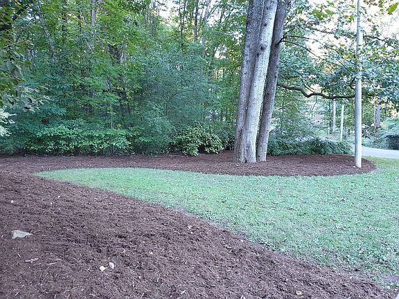 mulch and easy grass area