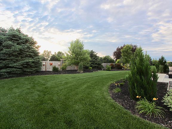 Backyard Landscaping