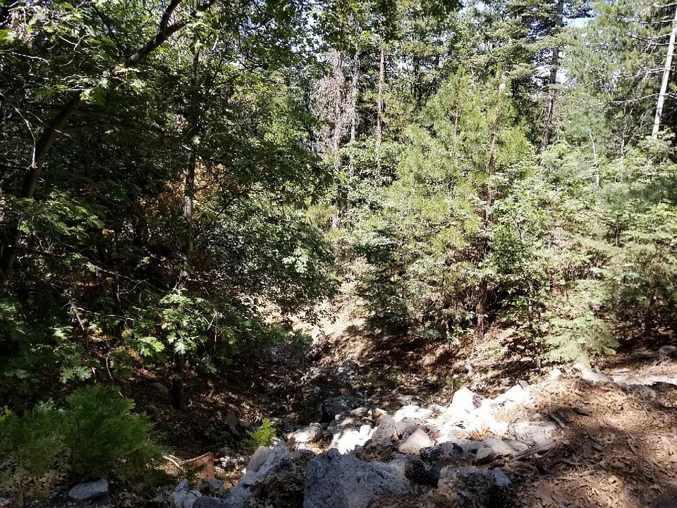 2nd image of Old Toll Rd