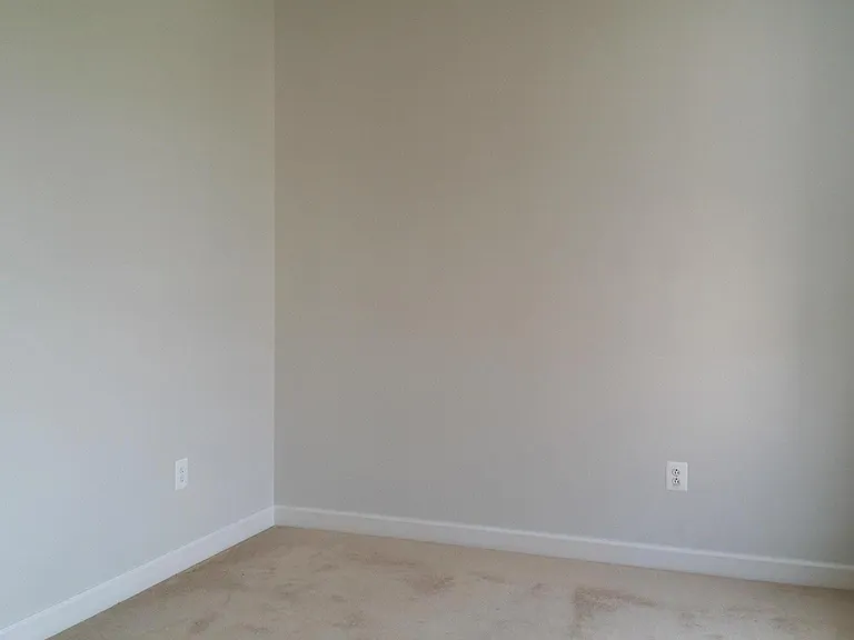 557 Cedar Spring St — Photo 18