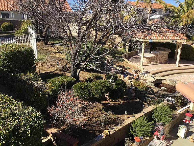 View from deck