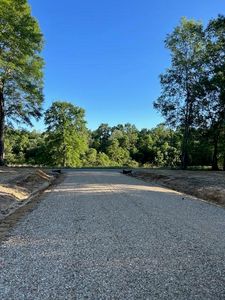 1 Savannah Millard Rd, Poplarville, MS, 39470