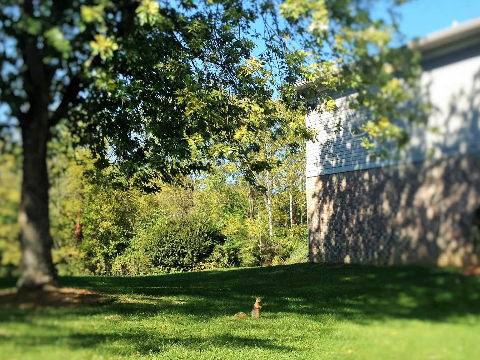 Lakeside Apartments at Walnut Hills — Photo 4