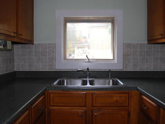 Kitchen Cabinets & Counter