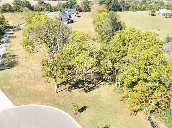 318 Canna Dr, Lascassas, TN 37085
