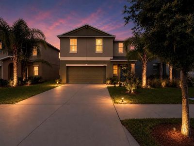 17014 Yellow Pine St, Wimauma, FL, 33598