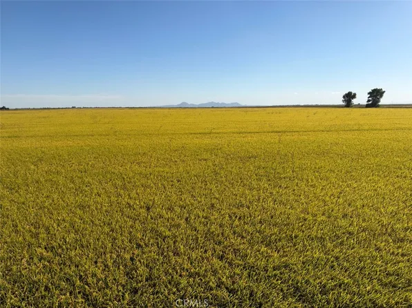 0 Lofgren Rd Lot 919, Richvale, CA 95974