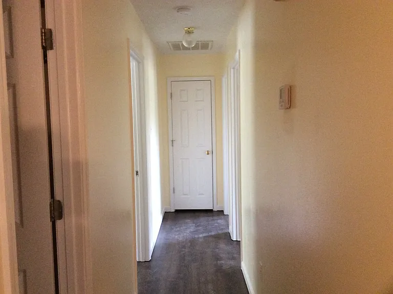 223 Sunny Gap Rd — Photo 10