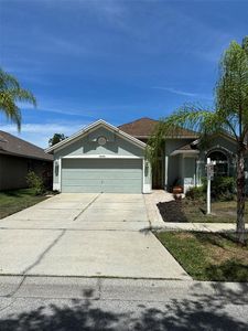 10290 Oasis Palm Dr, Tampa, FL, 33615