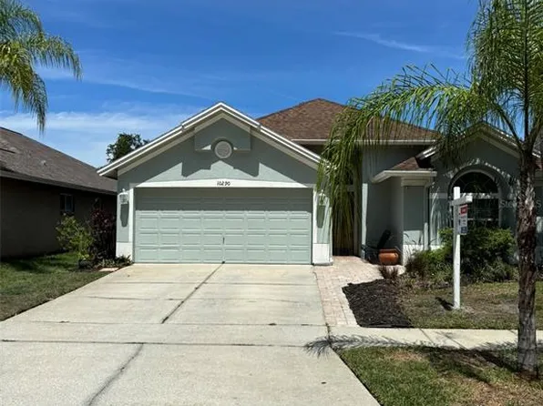 10290 Oasis Palm Dr, Tampa, FL 33615