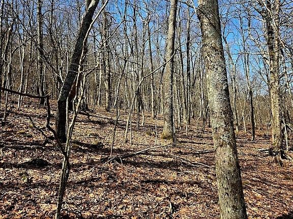 2nd image of TBD Junaluska Road