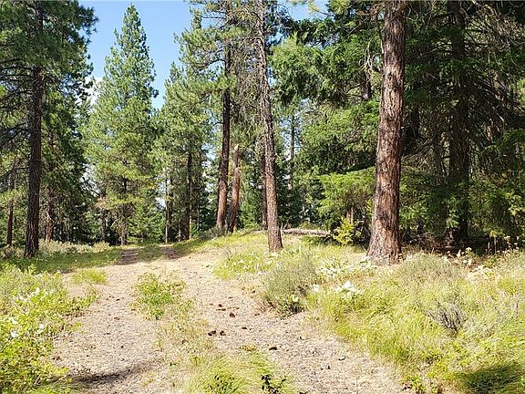 This is the driveway,  plenty of room to turn around once in there.