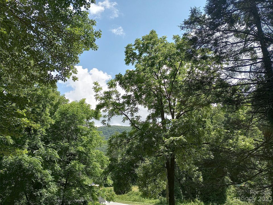 21 Bayles Freeman Rd, Gerton, NC 28735 MLS 4050506 Zillow