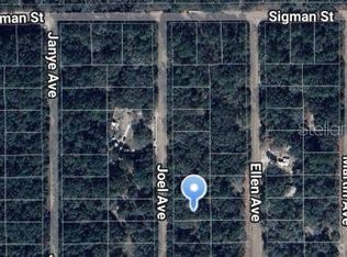 Joel Avenue Lot #8, Interlachen, FL 32148