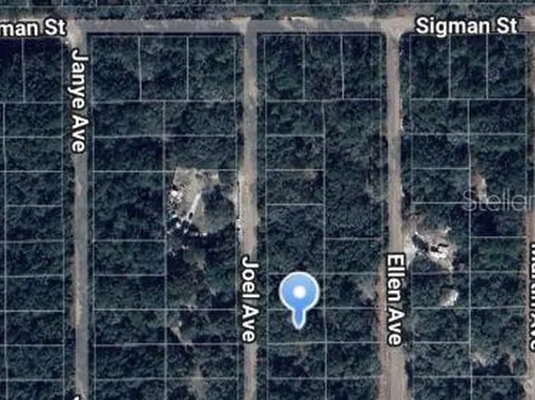 Joel Avenue Lot #8, Interlachen, FL 32148