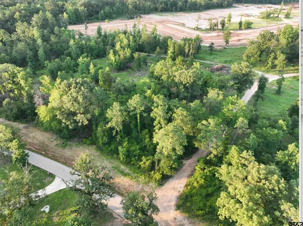 LOT 9 County Road 2123, Whitehouse, TX 75791