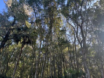 E Ohio Ave, Lake Helen, FL, 32744