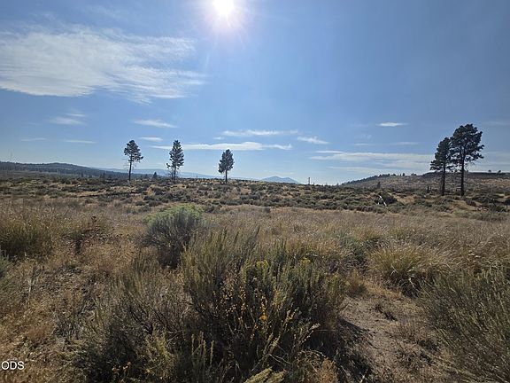 4th image of Ram Rd #6
