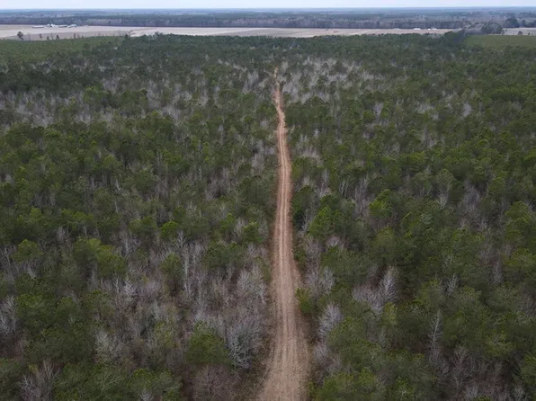 N Bowers Rd, Hobgood, NC 27843