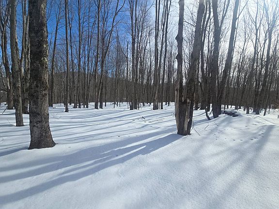 4th image of 0WP Henry Williams Rd