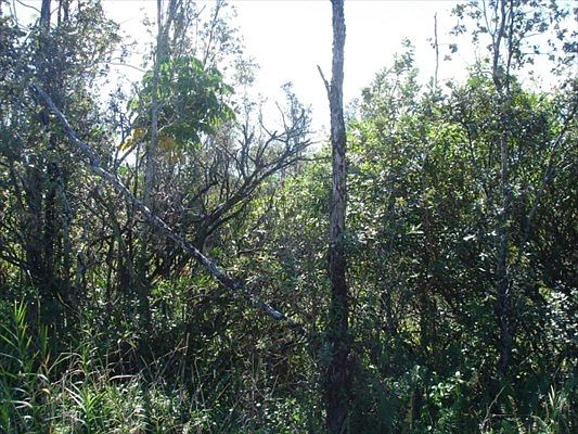 2nd image of 7th Ave Lot 2071