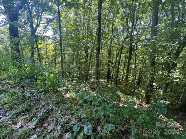 229 Hanging Rock Rd, Mars Hill, NC 28754