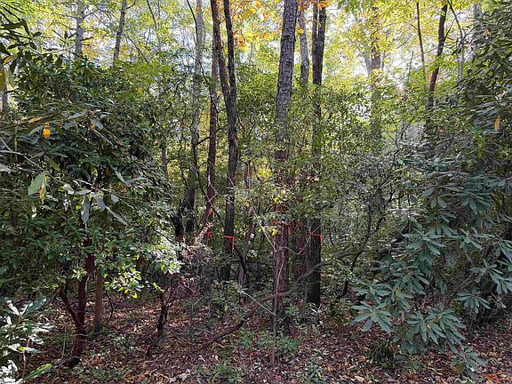 4th image of LOT 88 Upper Oil Camp Rd