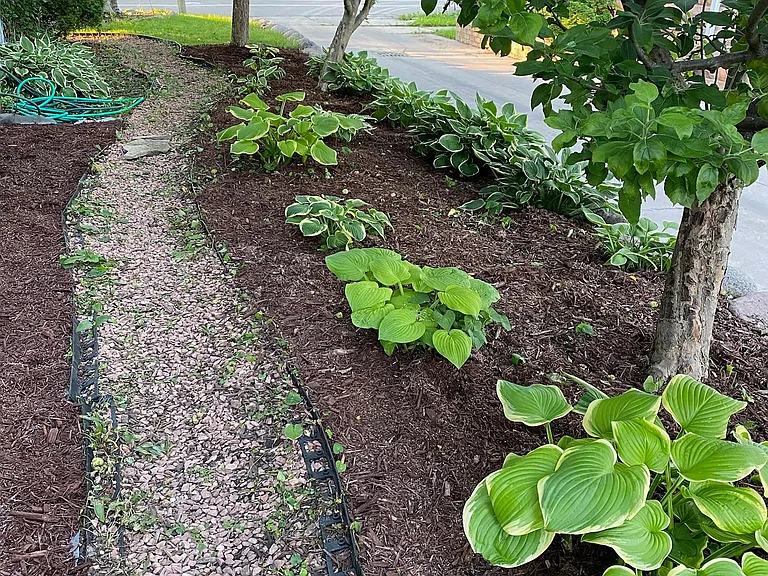 Path leading to private entrance & backyard.