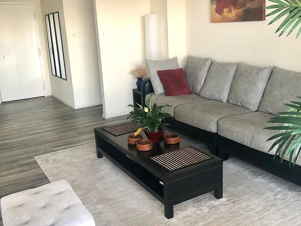 example of furnished living room