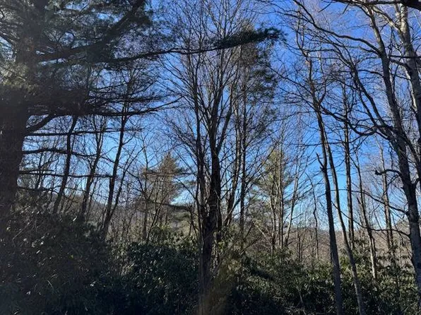 Huskins Dr, Jonas Ridge, NC 28641