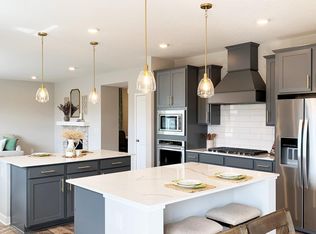 1728 Oak Creek Pass, Chaska, MN 55318