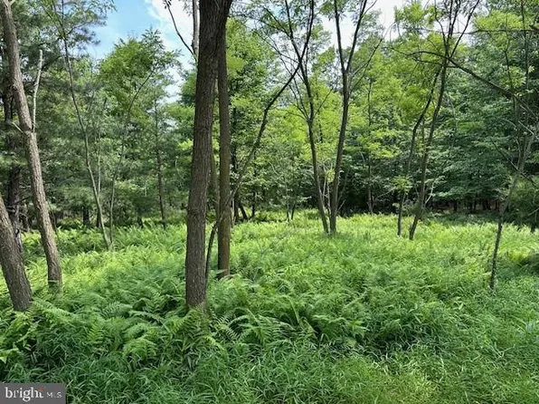 LOT 178 Majestic View Ln, Romney, WV 26757