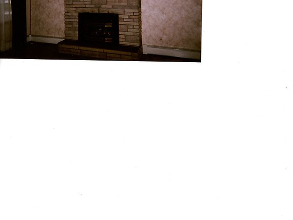 fireplace in LR