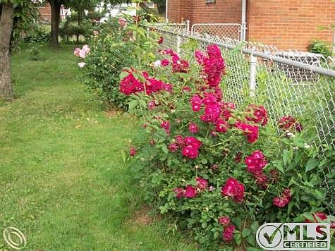 100_3672.JPG