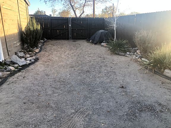 Back yard