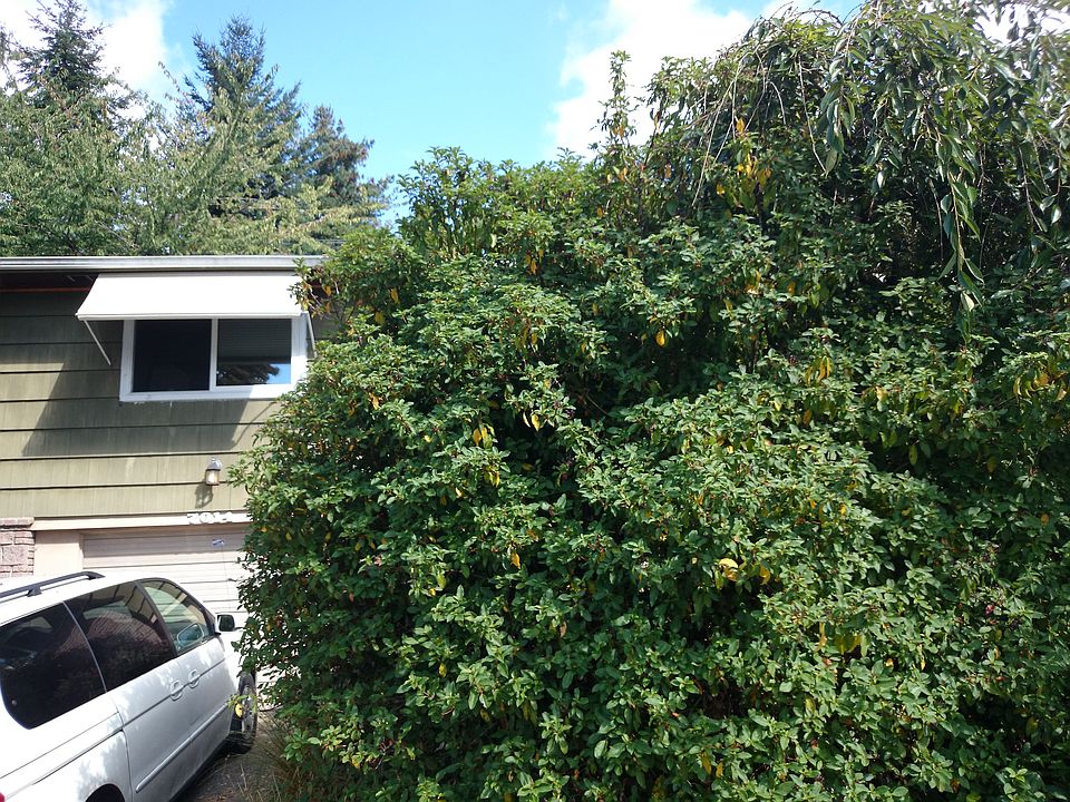 2nd image of 7014 29th Ave NE