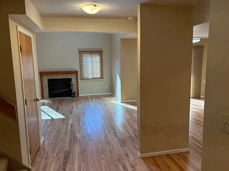 1425 Vondelpark Dr — Photo 5