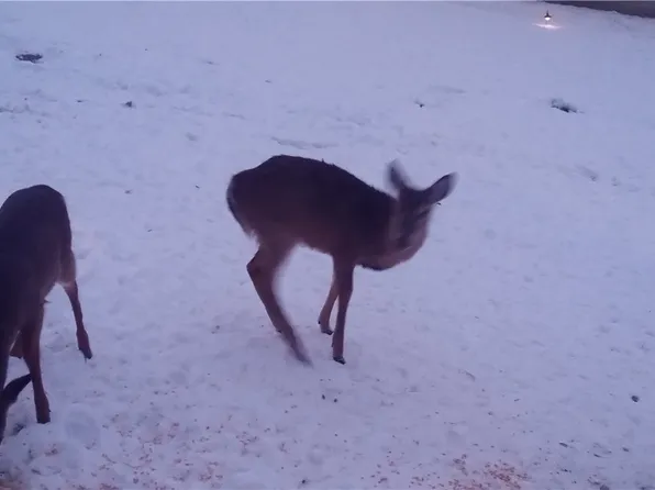 10294 Township Road 57 NE, Roseville, OH 43777