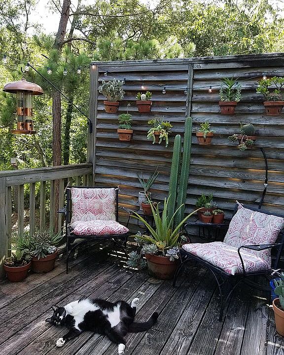Back Deck
