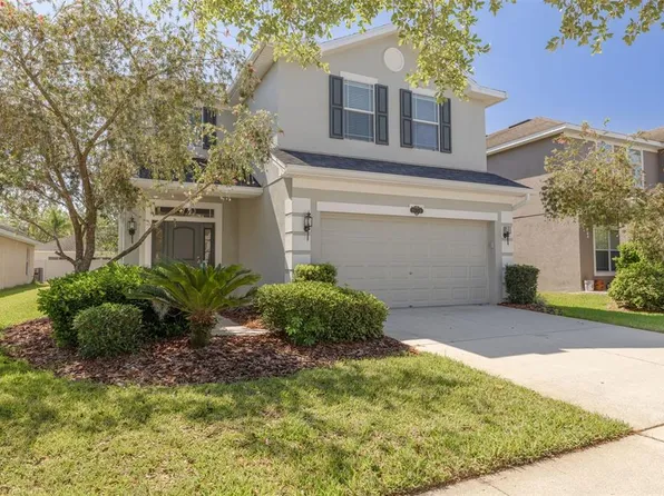 20215 Natures Spirit Dr, Tampa, FL 33647