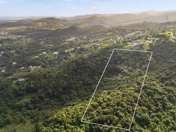 966 Zarzal Rd, Rio Grande, PR 00745